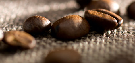 Hay m&aacute;s de 50&nbsp;variedades de caf&eacute;