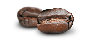 Caf&eacute; Arabica