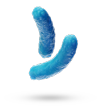 Bacterias 1,3 micras