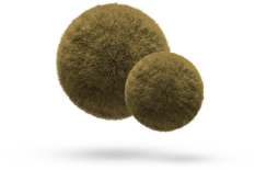 Polvo 10 micras
